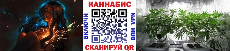Конопля SATIVA & INDICA Сим
